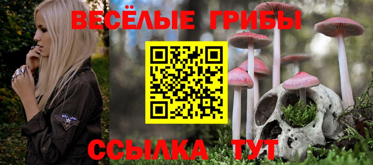 Псилоцибиновые грибы мухоморы Туапсе
