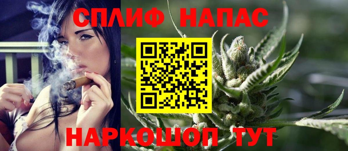 Конопля сатива Туапсе